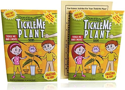 TickleMe זרעי הצמח מנות (2) בגידה או מסיבה טובה! עלים מקפלים ביחד מתי אתה מדגדג את זה. מדע נהדר כיף, ירוק וחינוכי. קל